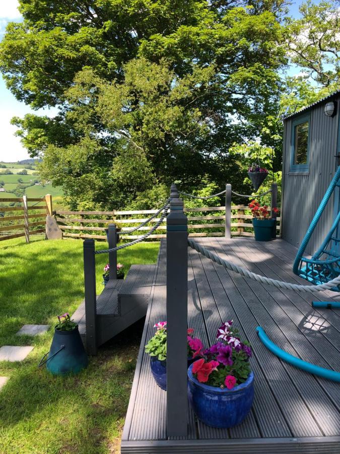 The Peacock Shepherds Hut At Hafoty Boeth Corwen Kültér fotó