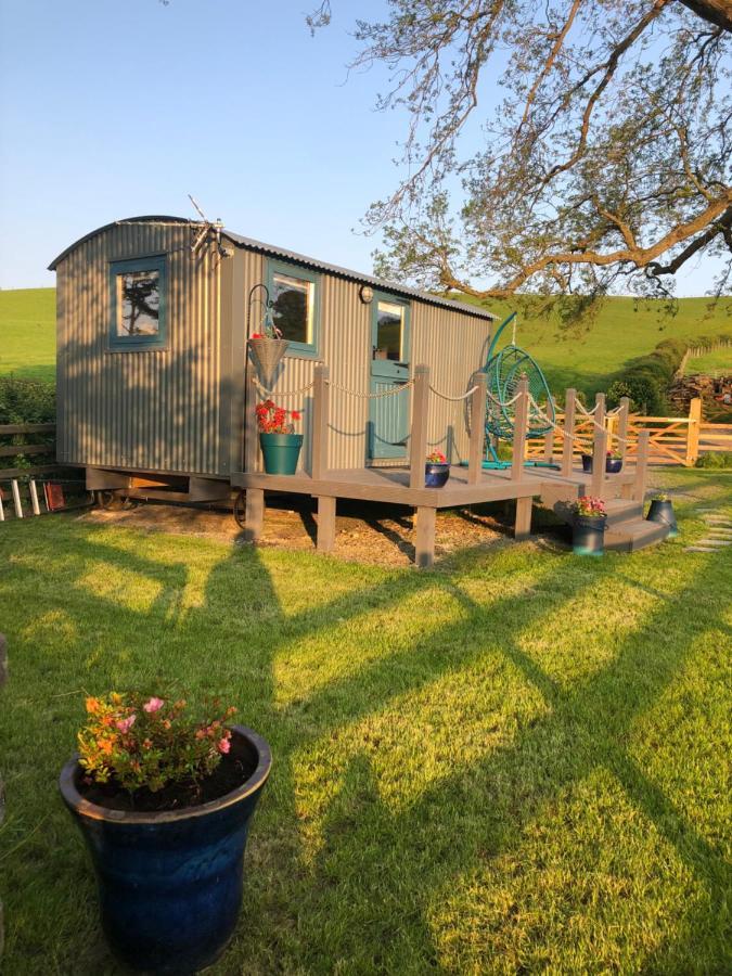The Peacock Shepherds Hut At Hafoty Boeth Corwen Kültér fotó