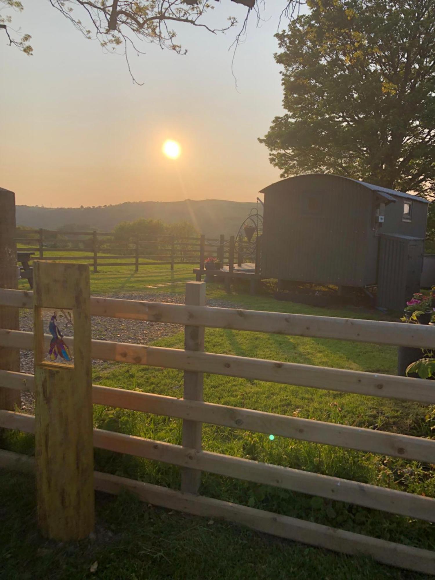 The Peacock Shepherds Hut At Hafoty Boeth Corwen Kültér fotó