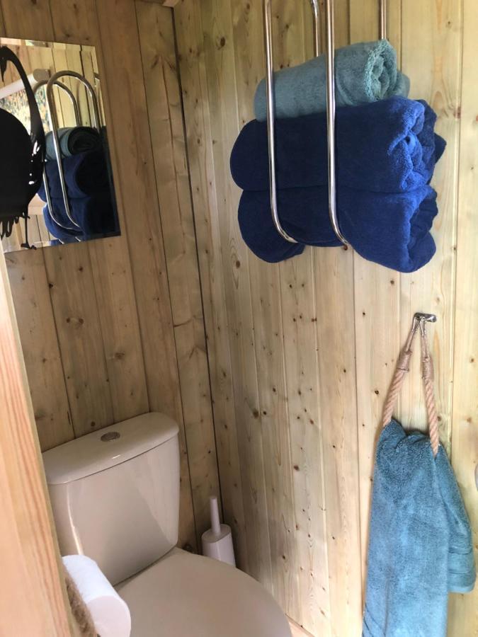 The Peacock Shepherds Hut At Hafoty Boeth Corwen Kültér fotó