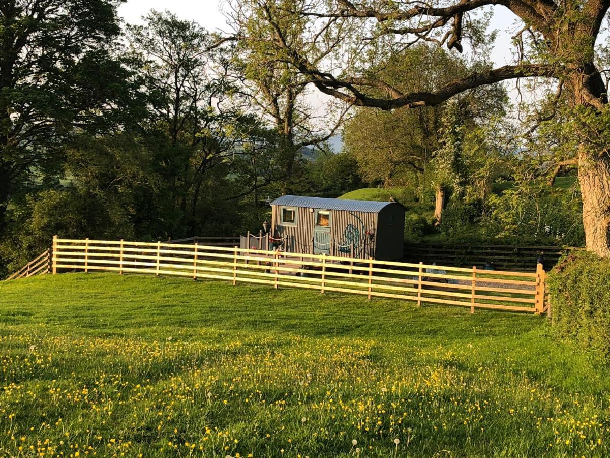 The Peacock Shepherds Hut At Hafoty Boeth Corwen Kültér fotó