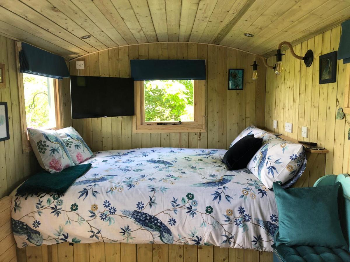 The Peacock Shepherds Hut At Hafoty Boeth Corwen Kültér fotó