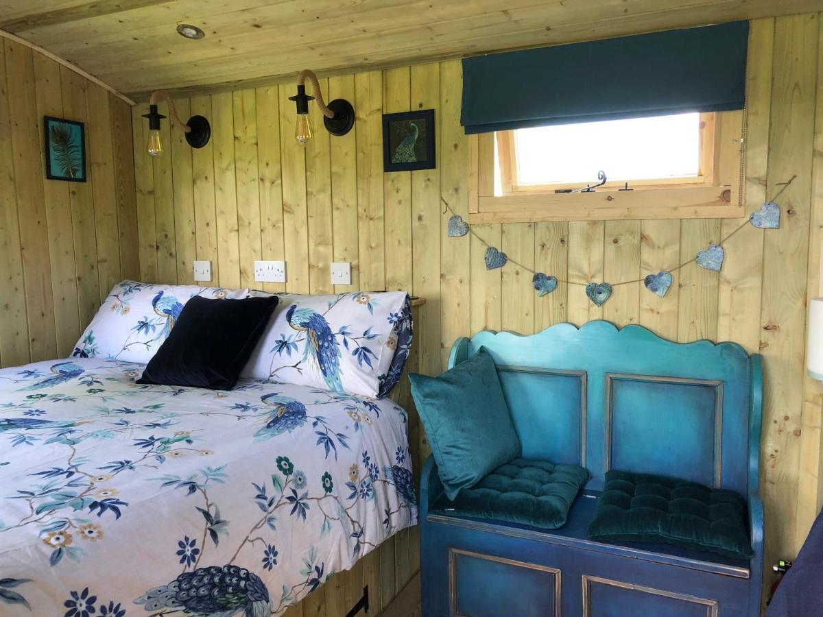 The Peacock Shepherds Hut At Hafoty Boeth Corwen Kültér fotó