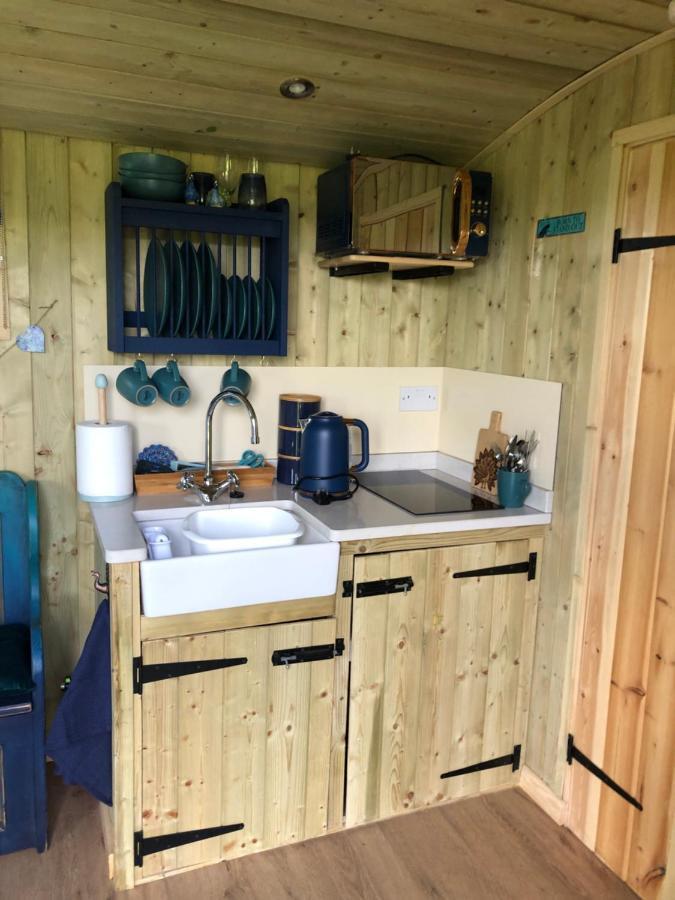 The Peacock Shepherds Hut At Hafoty Boeth Corwen Kültér fotó