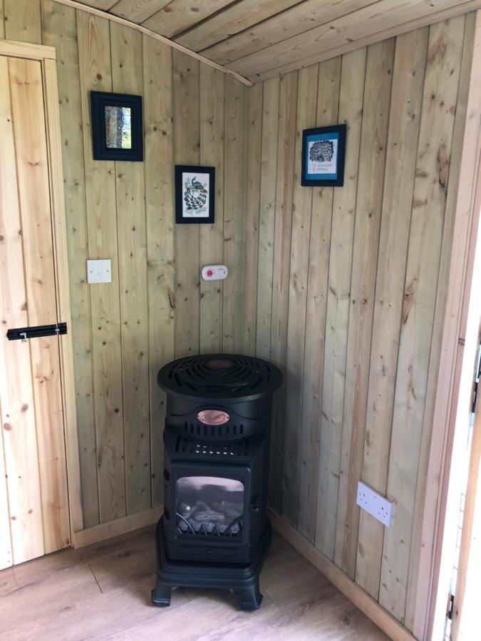 The Peacock Shepherds Hut At Hafoty Boeth Corwen Kültér fotó